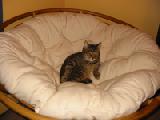 little in basket chair