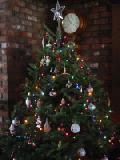 Our Tree