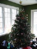 Parent's Tree