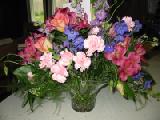 flowers from june & co