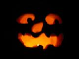 2005 foolish pumpkin