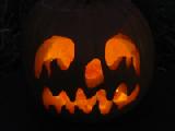 2005 insane pumpkin