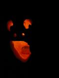 2005 james' pumpkin profile