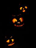 2005 three pumpkins