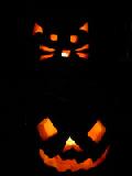 2006 two pumpkins
