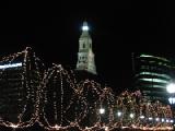 blurry trees and skyline