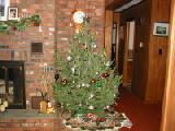 xmas tree 2001