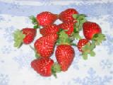 first strawberries 2004