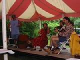 mad fiddlers