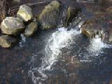 babbling brook closer