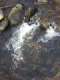 babbling brook