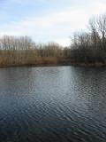 stenger farm pond 2