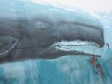wyland whale