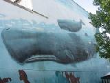 wyland whales