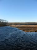 marsh and sky