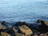 stones and sea
