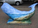 beached whale profile 2