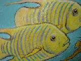 going my whale closeup 1