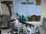 health & whaleness profile
