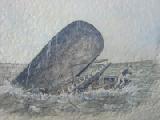 moby dick closeup 2
