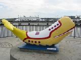 the yellow submawhale