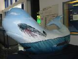 underwhale on nuclear power profile 2