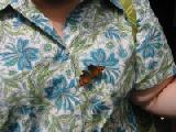 lynn's comma