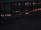 blackpool under the pier