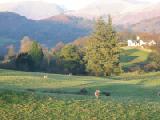 countryside 3