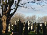 graveyard