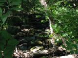 loon sanctuary brook