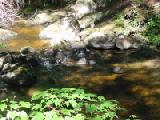 loon sanctuary pool