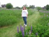 kirstie among lupines