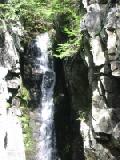 notch fall 1