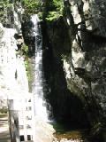 notch fall 2