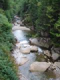 notch stream 1