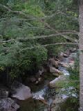 notch stream 3