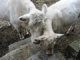 feeding time