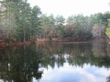 mill pond