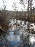 stream in autumn 1