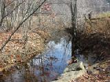 stream in autumn 2