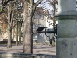 bird drinking from fountain at lindenhof