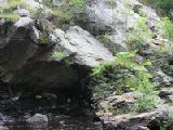 Nicholas climbs 2