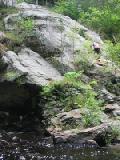 Nicholas climbs 3