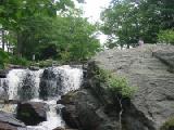 Nicholas climbs 5