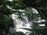 small falls through tress