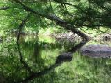 smooth stream
