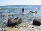 Nicholas back to shore