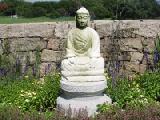 buddha closeup
