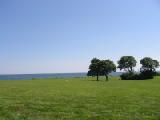 see the sea